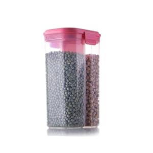 2 Section Storage Container